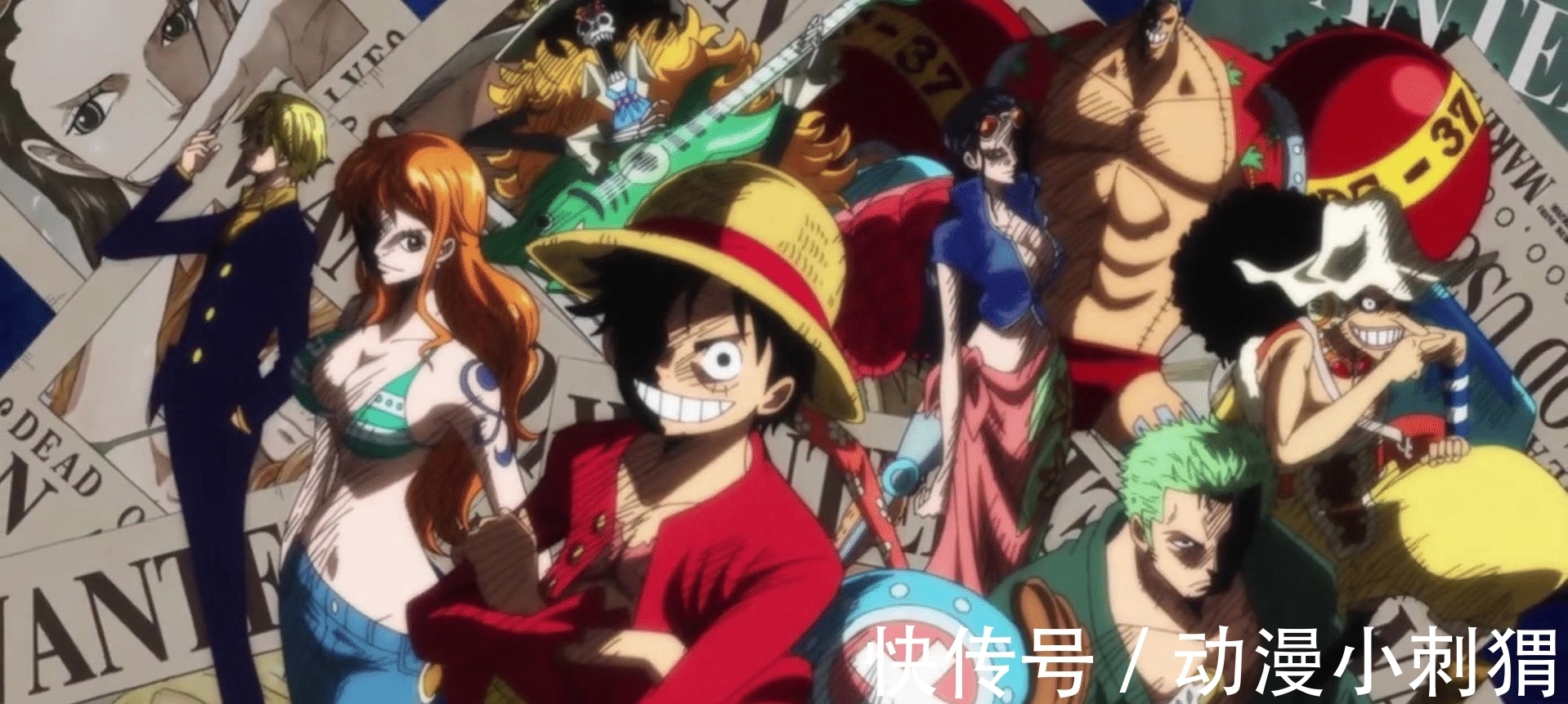 凯多|草帽团第十人确定?不是加洛特!不是小马哥!反倒收了敌军大将!