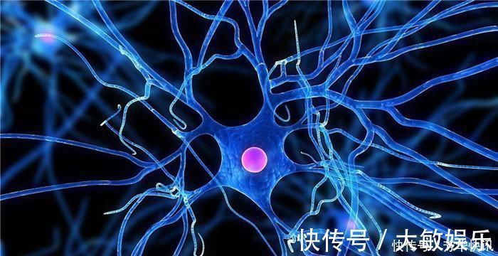 大脑|英国老年痴呆测试若你在图上找出2张女人脸,大脑没毛病