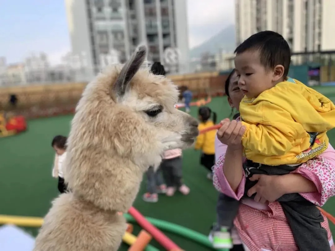 这里有最适合亲子游的绝佳宝藏景区，居然还有..