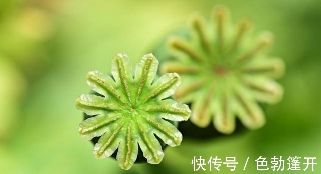 天德贵人|8月中下旬，好运不断，钱财大旺，万事皆顺心想事成的三大生肖