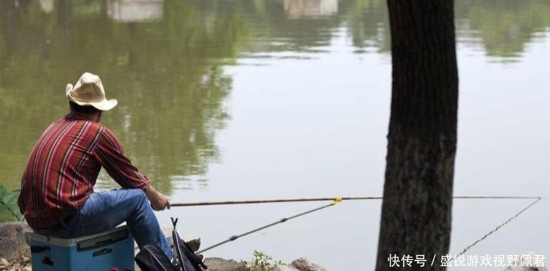 暮春钓白鲦，重点注意钓组和饵料的使用