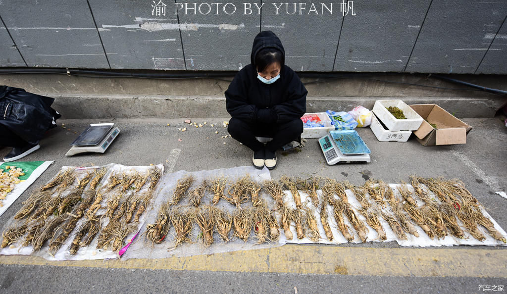 中朝边境的长白菜市场,人参像萝卜一样摆地上卖,有的商品真便宜