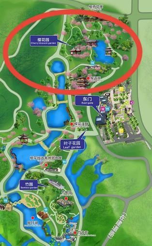 仙境|赴一场春日盛会吧！南宁这里粉樱烂漫，美成仙境