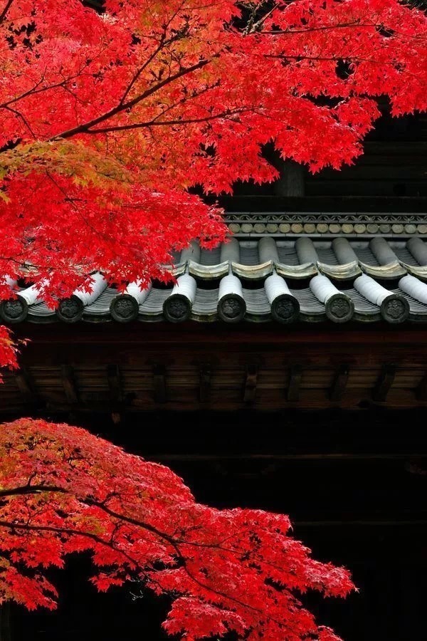 贱者@鬼谷子这九句话,总结了与人交往的所有诀窍