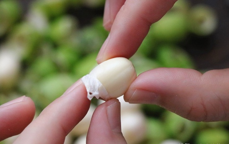 夏天1种高钾食材正当季，去皮煮一煮，营养美味，过阵子就少了