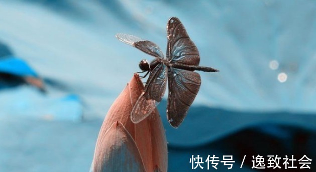 生肖兔|“吃软不吃硬”的3个生肖男,老婆一撒娇,什么都答应