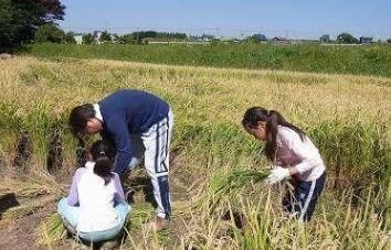 孩子|这4种家庭是公认的学霸家庭，孩子多会有大出息，赢在了起跑线上