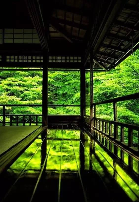 庭院|愿得一庭院,只用来喝茶