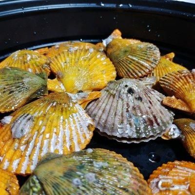 美味|#名厨汁味，圆中秋美味#蒜蓉粉丝蒸扇贝