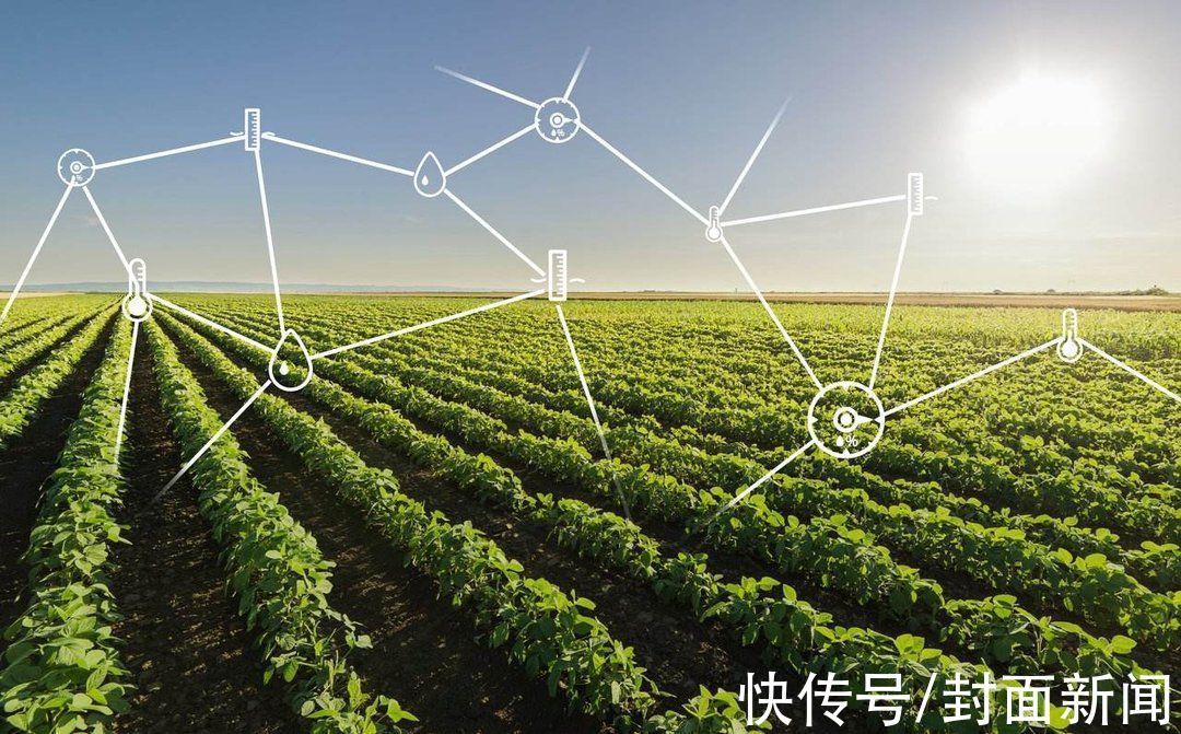 5g|通讯Plus·行业深度不吹不黑 5G异网漫游是否可行?