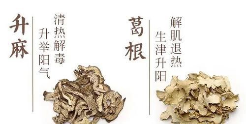  湿热|流传千古痛风名方，彻底驱除风寒湿，把痛风、风湿、类风湿都搞定