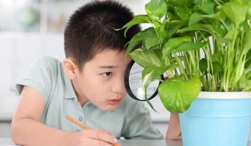 不想孩子被毁，请拒绝“奶奶式教育”，这些忠告请牢记