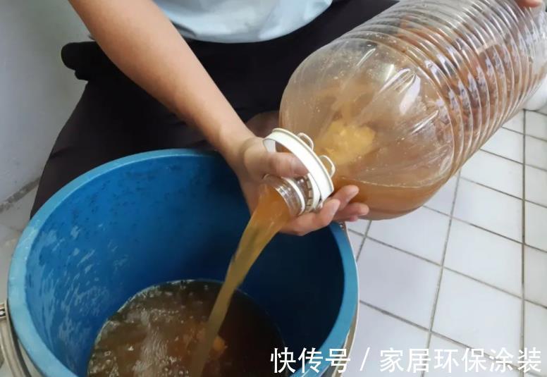 浇灌|茉莉花,天生就是“醋坛子”!夏季1个月浇3次,叶不黄开花旺