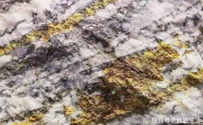 冰原|遍地黄金的金矿却无人敢去开采,淘金者:想去,但命比金贵