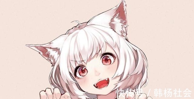 半兽人|想让猫咪变成人变是不可能的,但画师可以将其画出来!