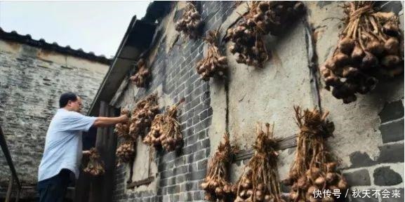 粤菜之所以高级,调味料也很努力哦!