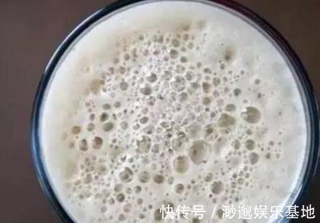 叶片|淘米水、啤酒、牛奶浇花,有什么忌讳弄懂这些变成养花的宝贝