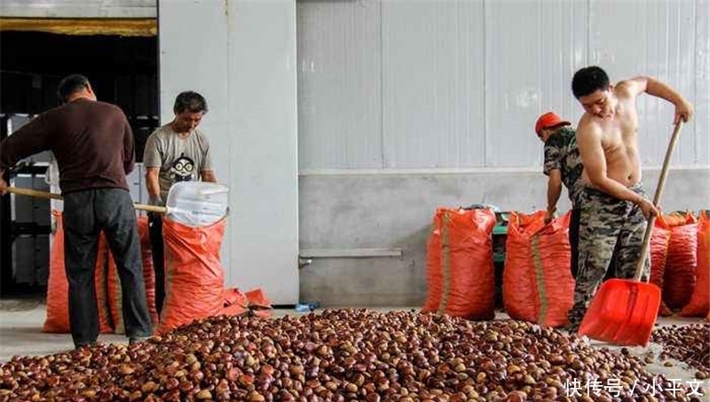 所贩卖|批发价一斤6元,在超市不好卖,到街边店一斤20元热卖