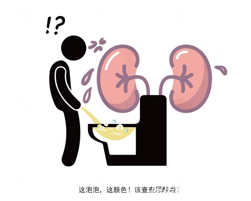 肾小球|1.3亿慢性肾病患者!提醒:尿液出现这4种症状,或是肾脏在求救