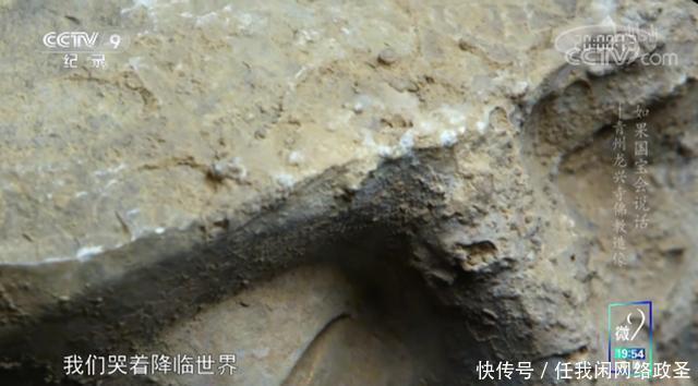 央视教你写文案,《如果国宝会说话》好绝!