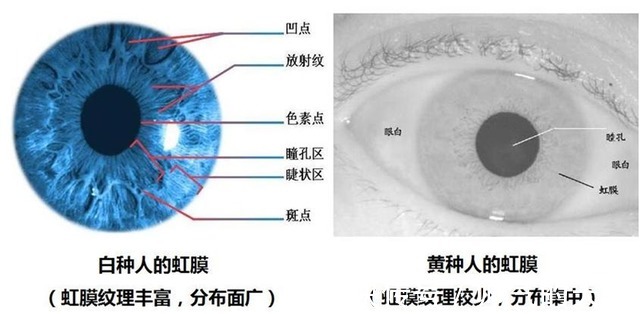 步态|担心信息泄露你需要注意的不只是指纹而已！
