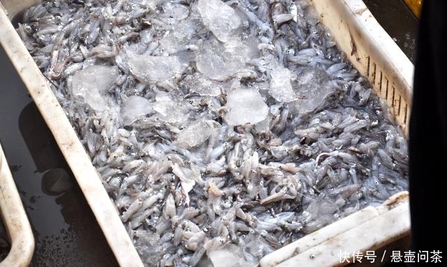 吃海鲜|吃本地海鲜最佳的地方,价格超级实惠品种多,几块钱一斤就能买到