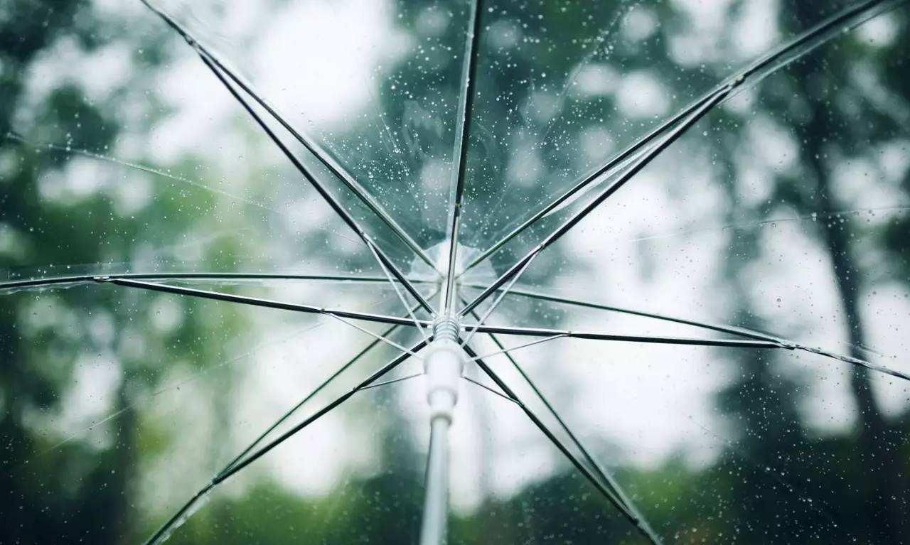 雨滴|一场春雨一场暖,春雨怎么拍才有味这些作品给你灵感