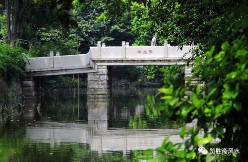 淡淡的|伍岳峰：一怀淡淡的乡愁，一泓香醇的故乡水