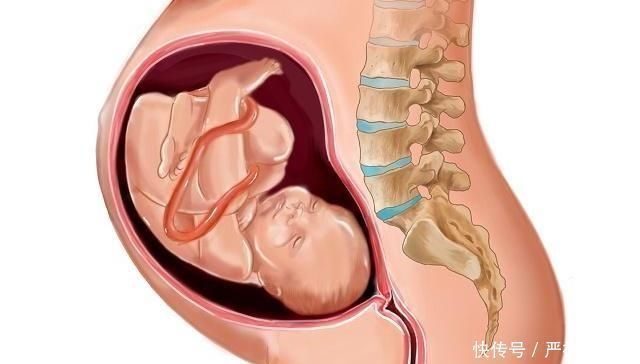 入盆|怀孕晚期,小宝贝“入盆”早晚,或许和这4点有关系,早知早好