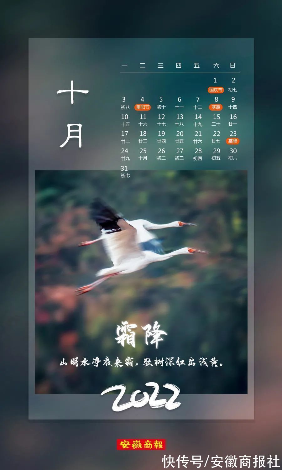 壁纸|送您一份新年月历！张张都可以当壁纸