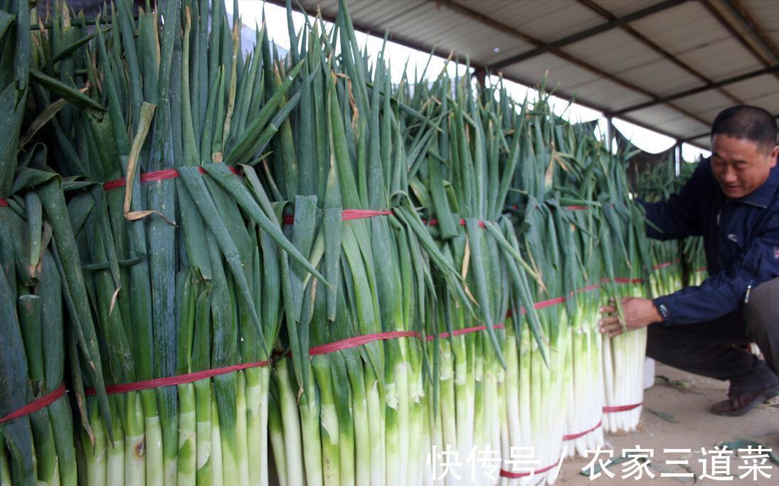 买回来的大葱,别随便放在地上,教你保存技巧,放半年都很新鲜
