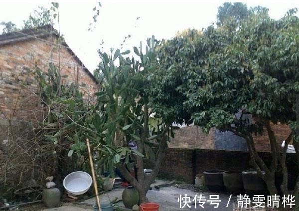 自建房|晒晒农村自建房,里里外外花了不到50万,一点不比城里的别墅差