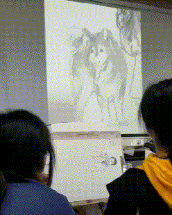 |搞笑GIF段子:不是说女追男隔层纸吗?这也太好追了吧,哈哈哈哈