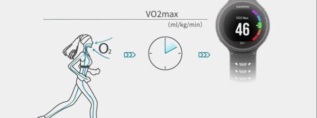 心肺功能|健身停训多久后,肌肉会消失如何保留住肌肉