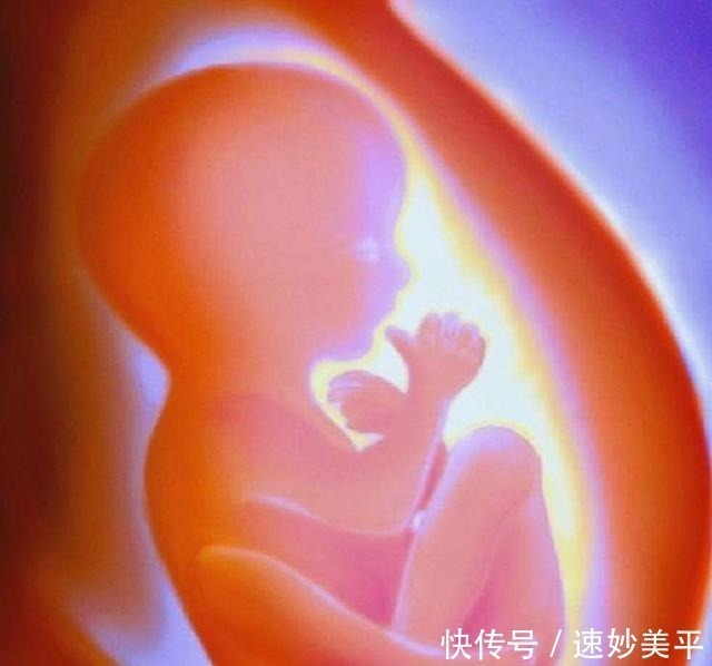 胎脂|怀孕时做到4个“不碰”,可以保持羊水清澈,宝宝生活环境超干净