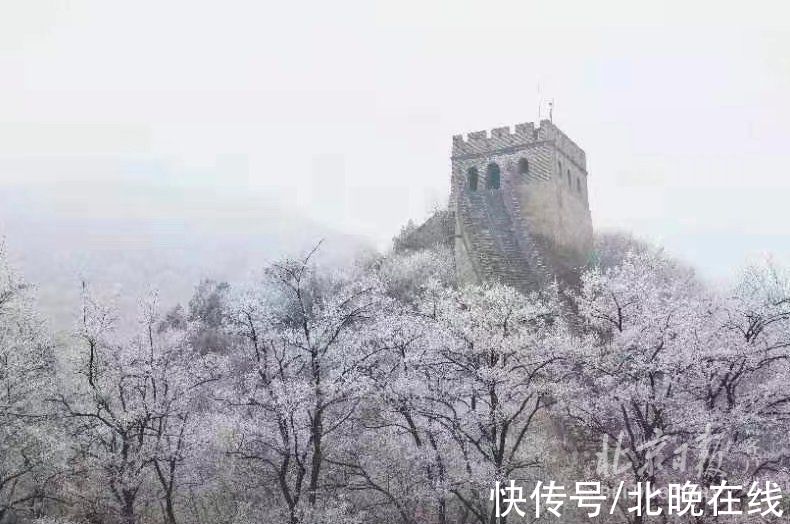 雾凇|玉树琼枝装点“巨龙”，水关长城现雾凇美景