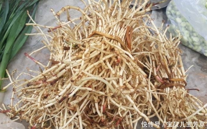 疮疖肿毒|夏天常吃它们,可活血祛瘀,降脂减肥,还健胃明目,别再错过了