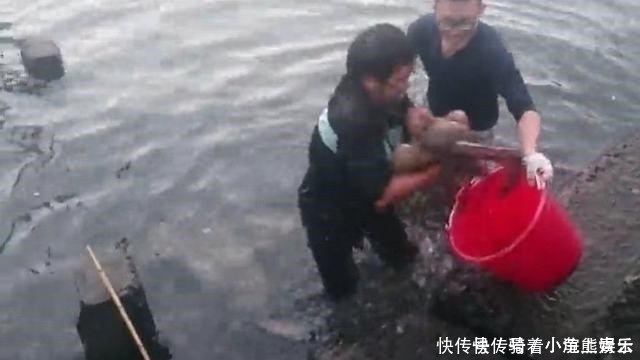 小张|男子在河里钓鱼, 下水被奇怪生物缠住脚, 起来后他大呼发财了