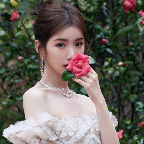 微博之夜，16位女明星佩戴的大牌珠宝首饰，有你喜欢的吗