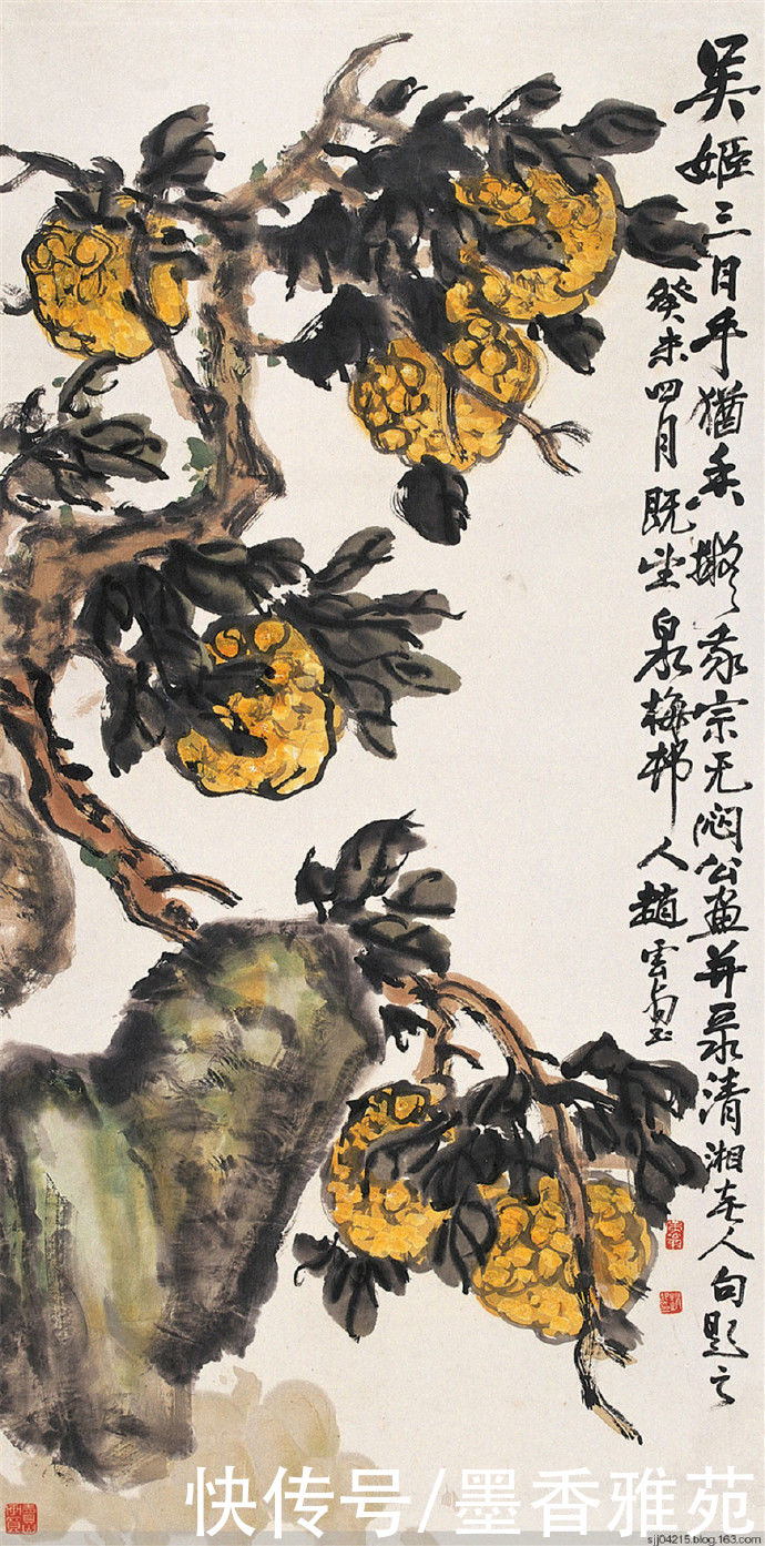 赵云壑|大师吴昌硕的弟子赵云壑先生精品花鸟画作品欣赏