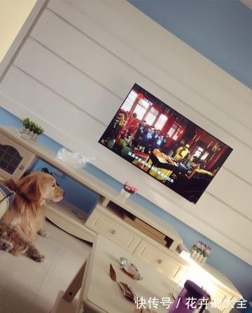 客厅|90平新房原来还可以这样装修,前后花费15万,估计你也会羡慕!