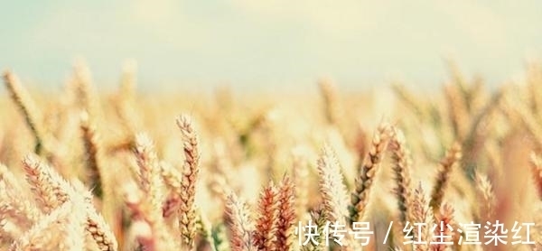 本鲤|7月份，处女座运势详解，事业运极强，本人就是锦鲤本鲤