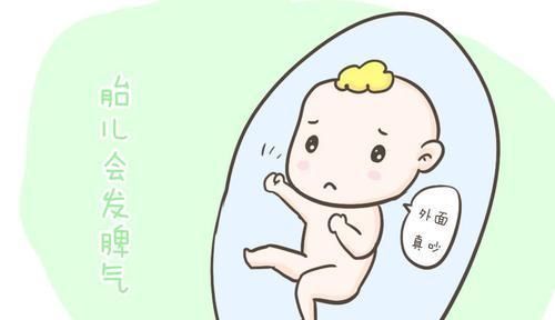 子宮|孕妈们有没有好奇过胎宝宝在肚子里都干什么？看完后，真的超忙！