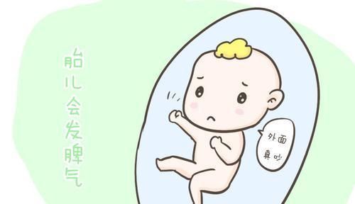 子宫|孕妈们有没有好奇过胎宝宝在肚子里都干什么?看完后,真的超忙!