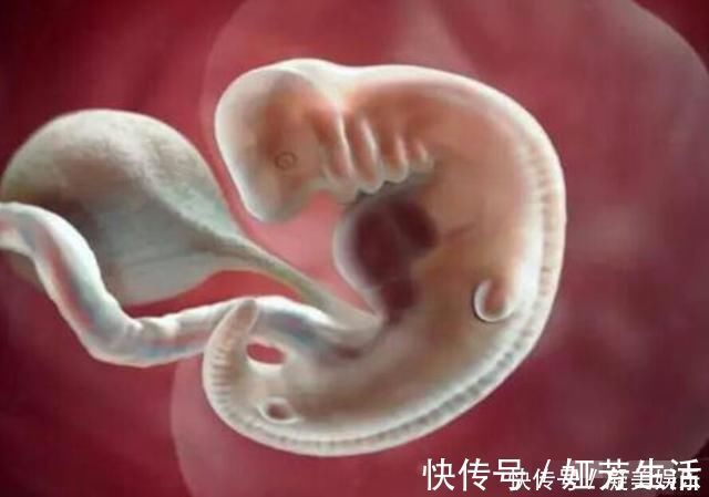 高发期|十月怀胎,哪几周是胎儿畸形的高发期看完后明白了