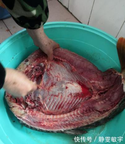 腌腊鱼|腌腊鱼,别直接抹盐!再加这一样,鱼肉腊味十足,好吃不变质!