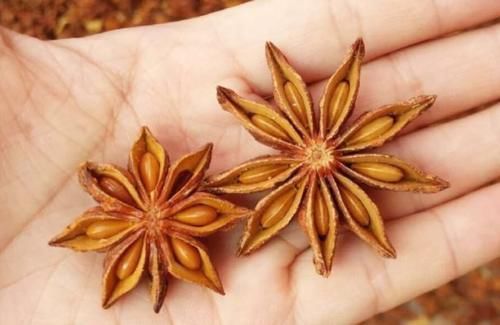 “猪肉不花椒，羊肉不八角，牛肉不韭菜”有科学道理吗？