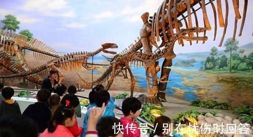 父母|多带孩子去三个地方,智商和情商都蹭蹭往上涨,家长还不花钱