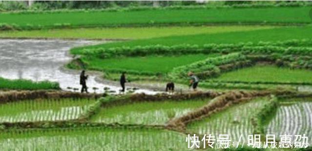 老农|农民稻草捆秧父抱子，大臣对不出下联羞愧回家，妻子对千古绝对！