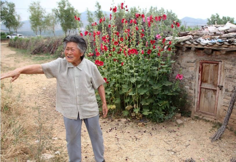 民间土偏方：“豆浆+南瓜”一起煮，一周喝3次，膝盖不疼了